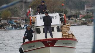 Batı Karadeniz'de palamut bolluğu fiyatlara yansıdı