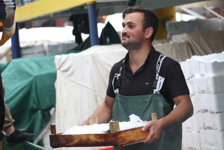 Batı Karadeniz'de palamut bolluğu fiyatlara yansıdı G3