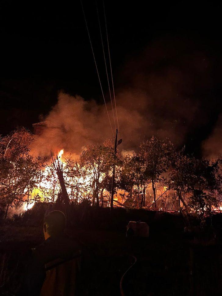Artvin'de çıkan yangında 2 ev kullanılamaz hale geldi G1