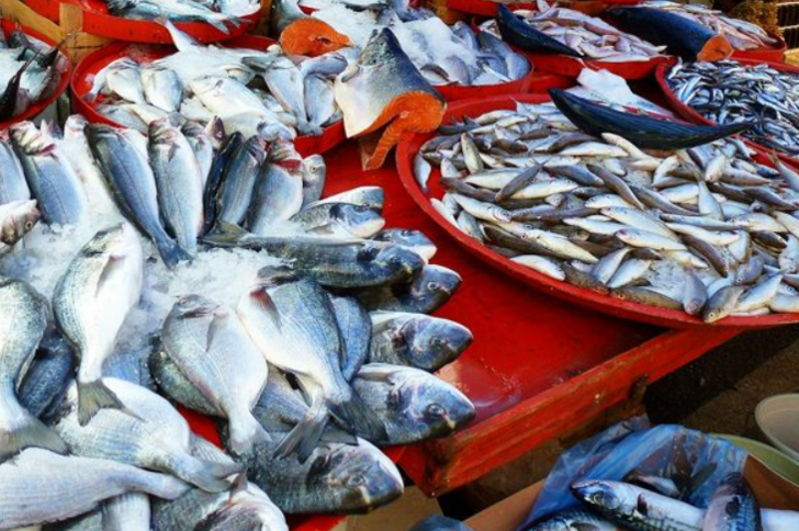 Paranızı ziyan etmeyin! En taze balık nasıl seçilir? Balık seçmenin püf noktaları G2