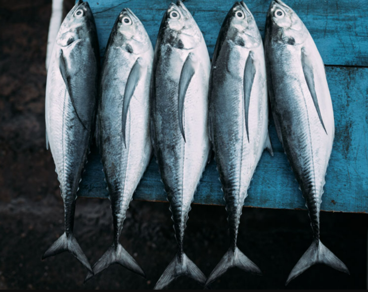 Paranızı ziyan etmeyin! En taze balık nasıl seçilir? Balık seçmenin püf noktaları G4