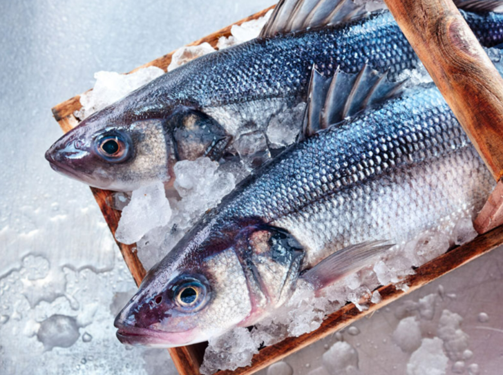 Paranızı ziyan etmeyin! En taze balık nasıl seçilir? Balık seçmenin püf noktaları G5