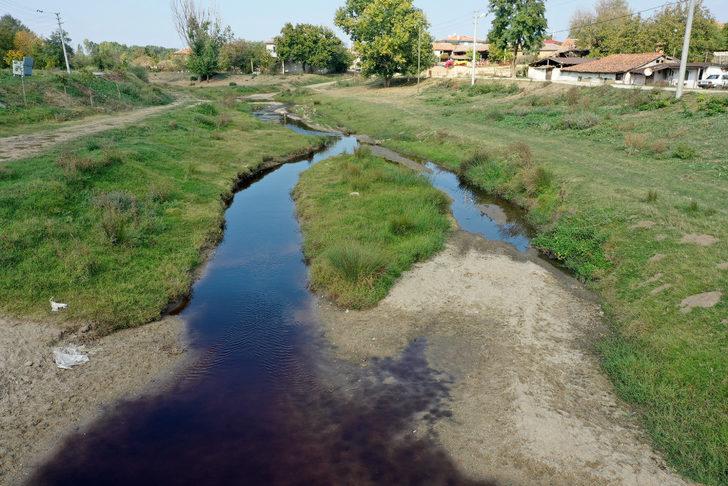 Edirne'de Hasanağa Deresi'nden balık ölümleri nedeniyle numune alındı G1