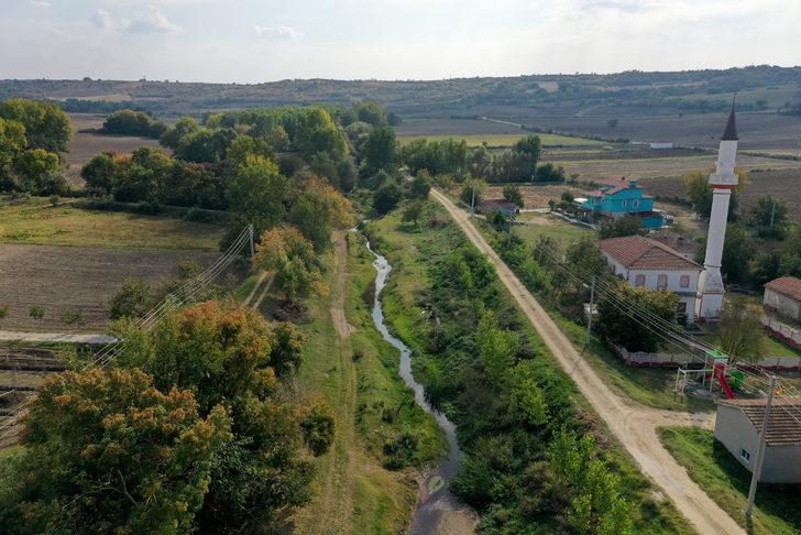 Edirne'de Hasanağa Deresi'nden balık ölümleri nedeniyle numune alındı G2