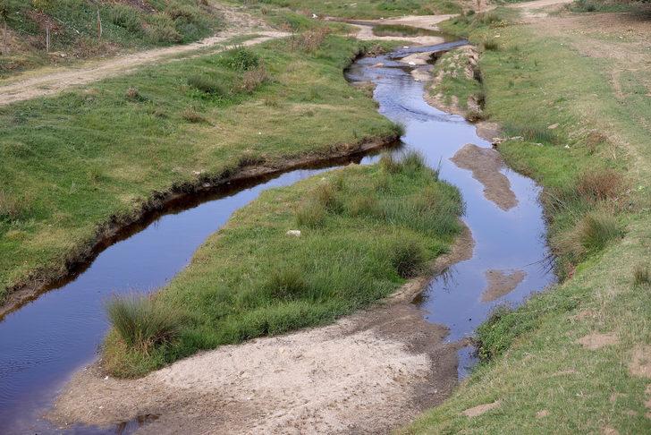 Edirne'de Hasanağa Deresi'nden balık ölümleri nedeniyle numune alındı G4