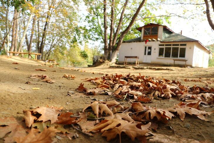 Tekirdağ'da güz mevsimi renk cümbüşü sunuyor G1
