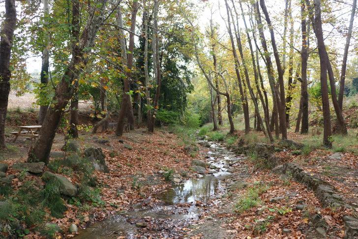 Tekirdağ'da güz mevsimi renk cümbüşü sunuyor G2