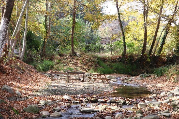 Tekirdağ'da güz mevsimi renk cümbüşü sunuyor G3