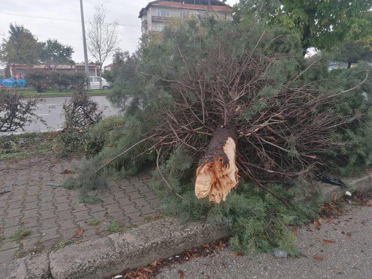 Samsun'da ağaca çarpıp takla atan otomobildeki karı koca hayatını kaybetti G3