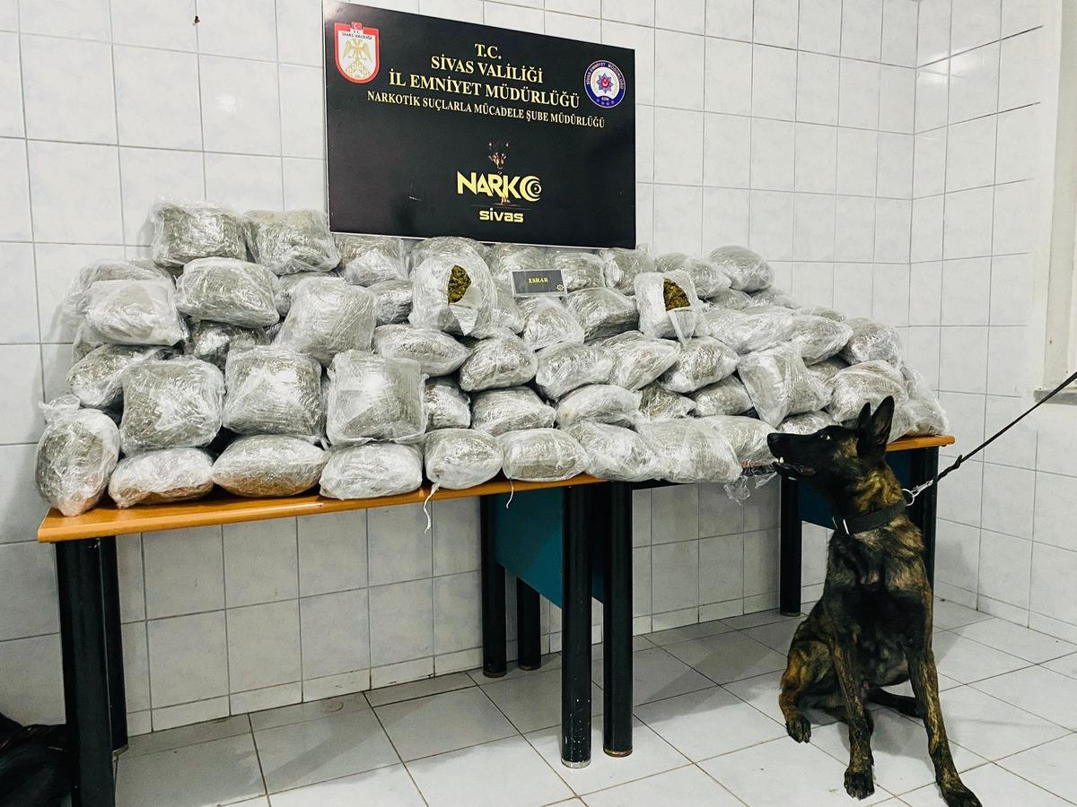 Sivas'ta 81 kilo 952 gram esrar ele ge&ccedil;irildi