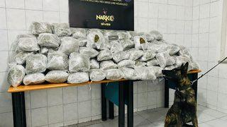 Sivas'ta 81 kilo 952 gram esrar ele geçirildi