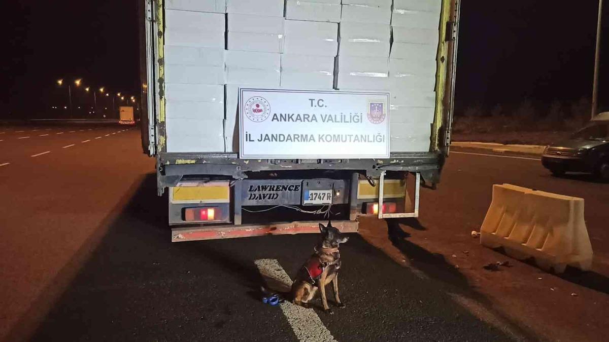 Ankara&rsquo;da 21 milyonu aşkın bandrols&uuml;z makaron ele ge&ccedil;irildi