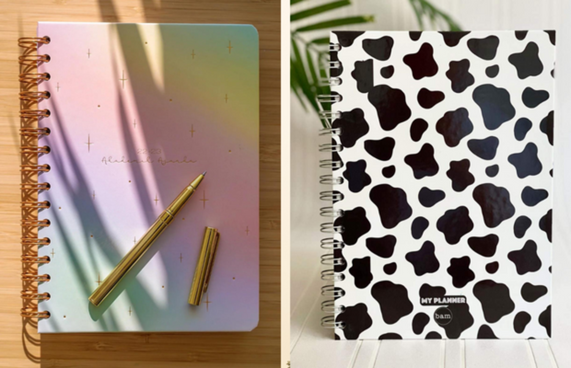 Akademik hayatınızda sizi bir adım öne taşıyacak en iyi akademik ajanda önerileri