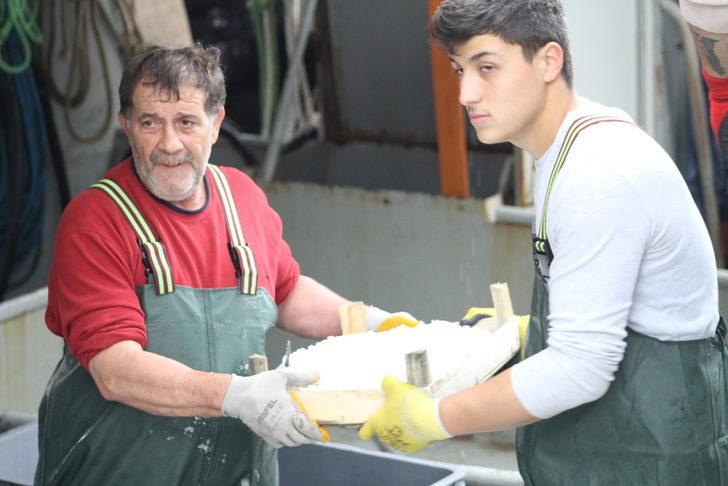 Düzce'de bol miktarda avlanan palamut tezgahlardaki fiyata yansıdı G1