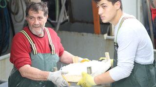 Düzce'de bol miktarda avlanan palamut tezgahlardaki fiyata yansıdı