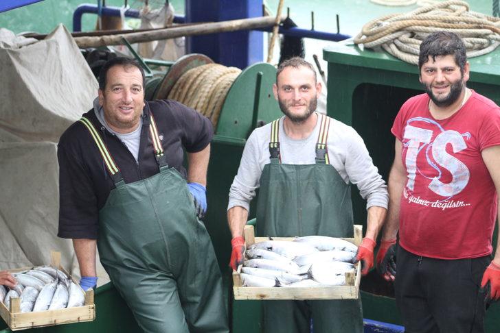 Düzce'de bol miktarda avlanan palamut tezgahlardaki fiyata yansıdı G4