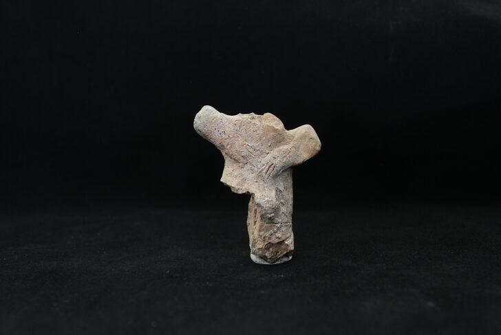 Ulucak Höyüğü'ndeki kazıların bu yılki bölümü tamamlandı G1