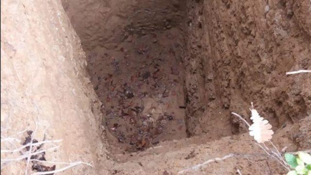 Mantar toplamaya gitmişti, tesadüfen gördü! 'Mümkün değil çıkılmaz buradan'