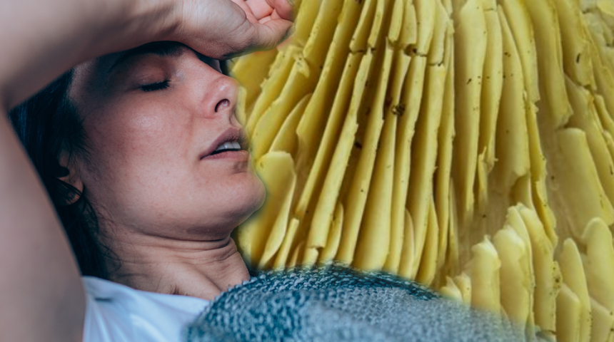 Tüm D vitamini ihtiyacınızı karşılayabilir! Kışın hastalık görmemek için sofranızdan ayırmayın