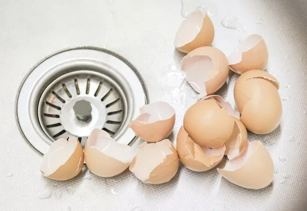 Hazineyi yıllarca &ccedil;&ouml;pe atmışız! Yumurta kabuklarının faydalarını duyunca &ccedil;&ouml;pe attığınıza pişman olacaksınız