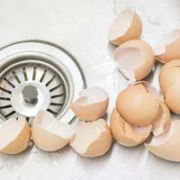 Hazineyi yıllarca &ccedil;&ouml;pe atmışız! Yumurta kabuklarının faydaları