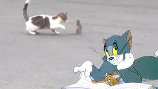 Sosyal medya bunu konuşuyor... Tom ve Jerry: Kartal!