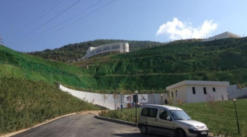 Yeşillendirmediler, yeşile boyadılar