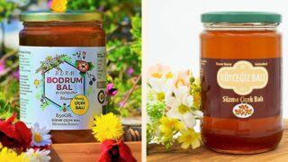 Her derde deva! Faydaları saymakla bitmeyen, şifasıyla g&uuml;c&uuml;n&uuml;ze g&uuml;&ccedil; katacak en iyi &ccedil;i&ccedil;ek balları