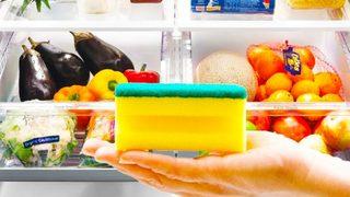 Buzdolabına koyacağınız bulaşık süngerinin etkilerine şaşıracaksınız! Cebinizi kurtaracak