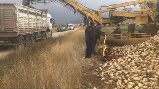 Bayburt’ta bu yıl hedeflenen şeker pancarı üretimi 100 bin ton