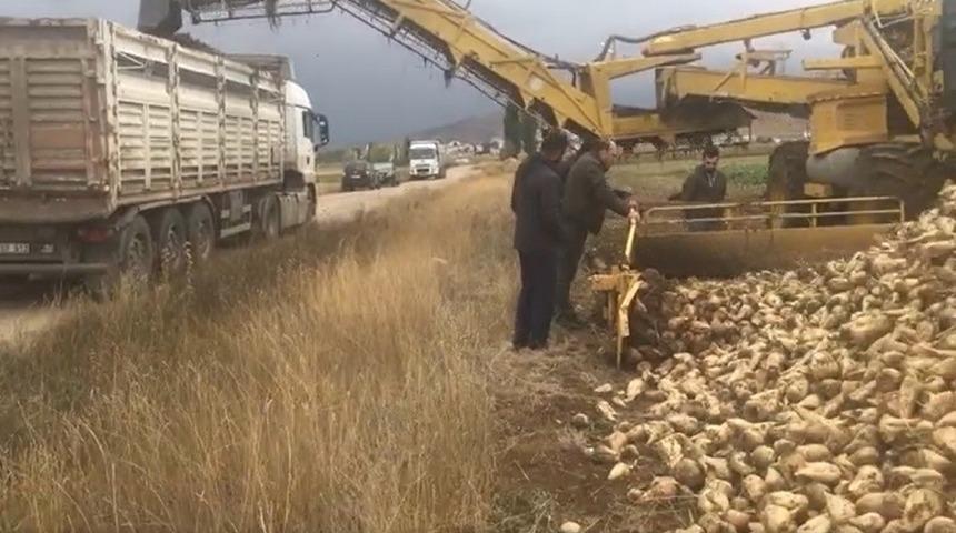 Bayburt’ta bu yıl hedeflenen şeker pancarı üretimi 100 bin ton
