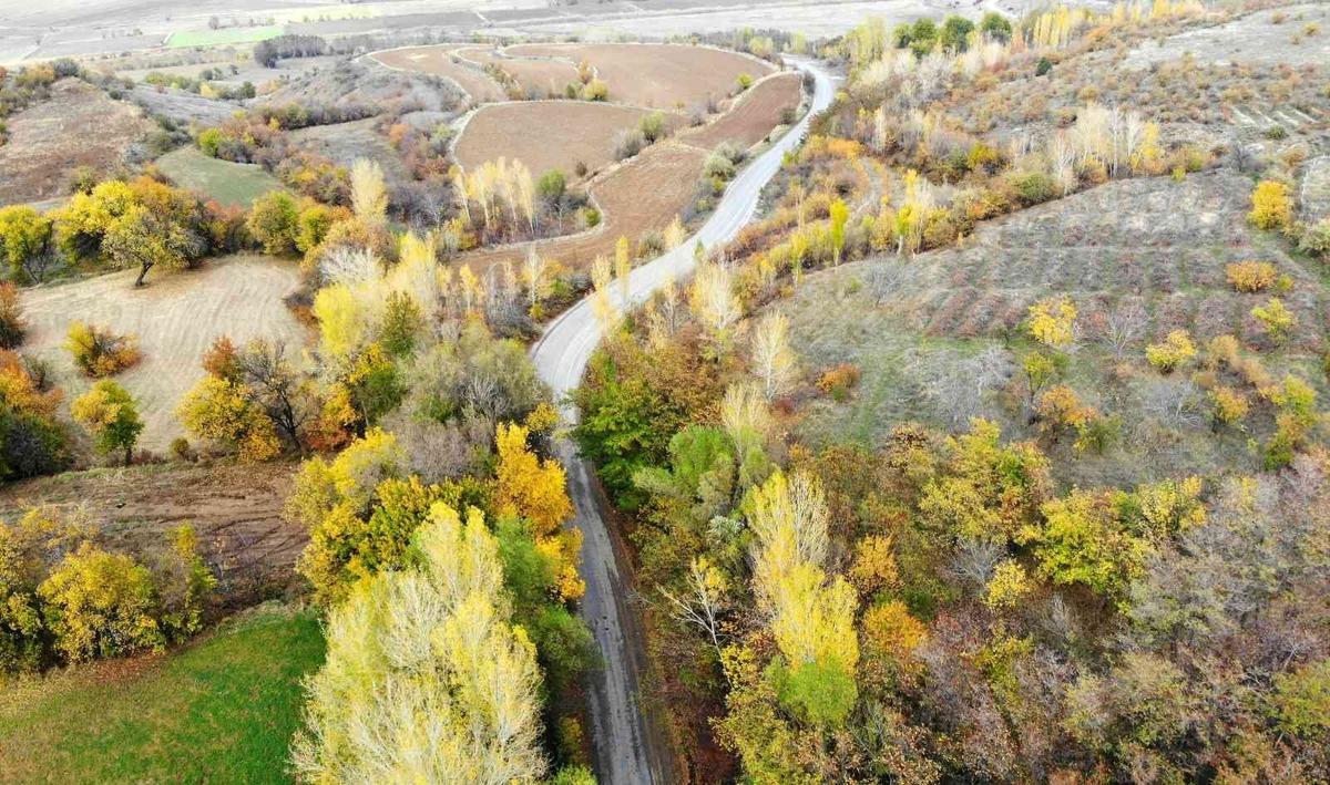 Sonbahardan kışa ge&ccedil;işte renk c&uuml;mb&uuml;ş&uuml; oluşturan ağa&ccedil;lar farklı g&uuml;zelliğe b&uuml;r&uuml;nd&uuml;