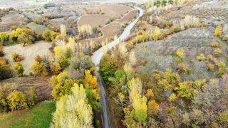 Sonbahardan kışa geçişte renk cümbüşü oluşturan ağaçlar farklı güzelliğe büründü