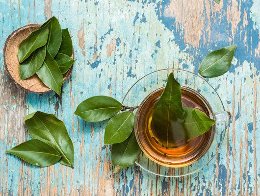 Bağışıklık sistemini destekleyici defne yaprağı çayı tarifi