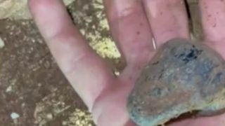 Akşam yürüyüşünde ayağına takılan taşın değeri dudak uçuklattı! “O kadar şaşkınım ki...”