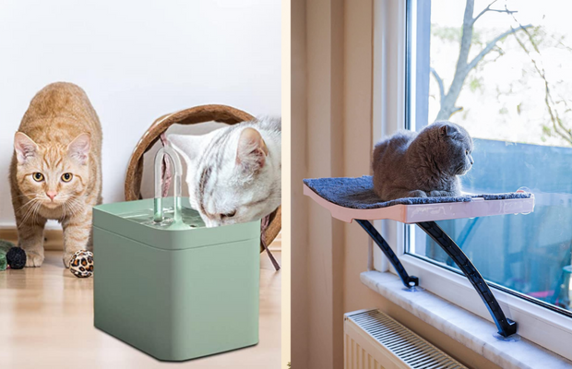 Minik dostlarını mutlu etmek isteyen kedi sahipleri için ürün önerileri