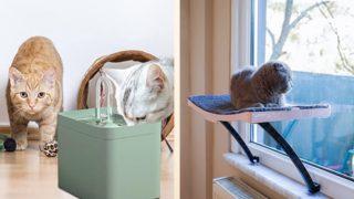 Minik dostlarını mutlu etmek isteyen kedi sahipleri için ürün önerileri