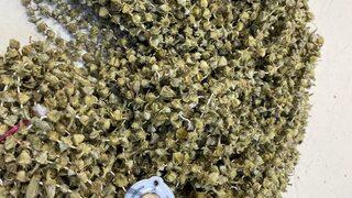 Fiyatı gram altınla yarışıyor! İçine koyulan et 150 lira...