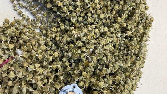 Fiyatı gram altınla yarışıyor! İçine koyulan et 150 lira...