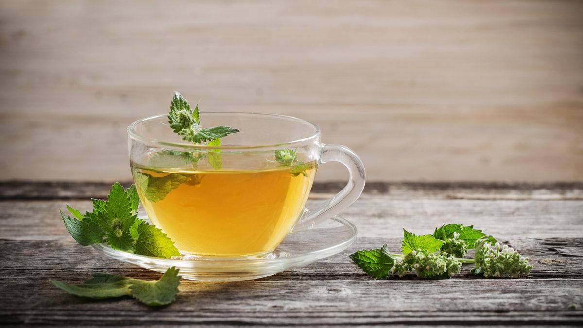 Melisa çayı faydaları nelerdir, neye iyi gelir? Melisa çayı nasıl yapılır  ve demlenir? - Sağlık Haberleri