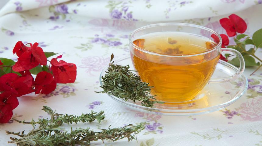 Zahter çayı faydaları nelerdir, neye iyi gelir? Zahter çayı nasıl yapılır ve demlenir?