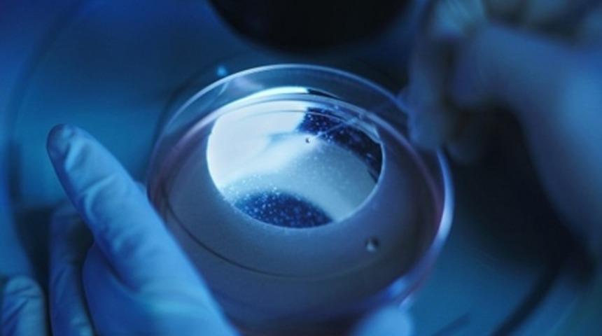 Kısırlık yakın zamanda sona erecek