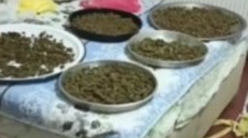 Mahallede yayılan kokunun nedeni belli oldu! Barakada şoke eden görüntü