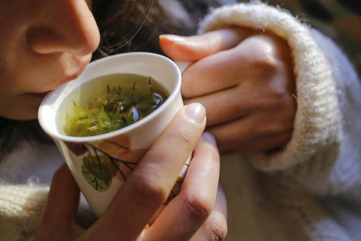 Karabaş çayı faydaları nelerdir? Karabaş çayı nasıl demlenir?