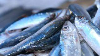 Kılçığı boğazınızda kalmasın: Pratik hamsi temizleme yöntemi! Hamsi nasıl ayıklanır?