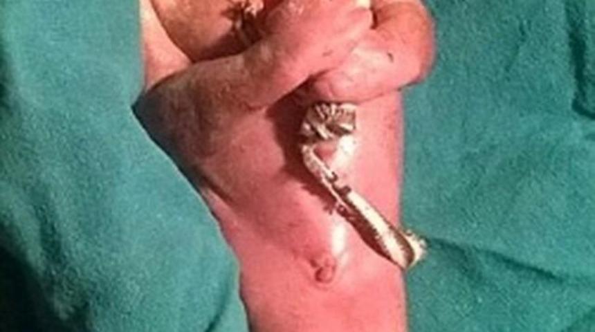 Deniz Kızı Doğru Deniz Kızını Görünce Şok Olucaksınız