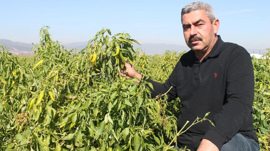Türkiye’de ilk kez denendi, işçi maliyetleri yüzde 90 düştü