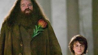 Harry Potter yıldızı Robbie Coltrane’nin ölüm nedeni belli oldu 