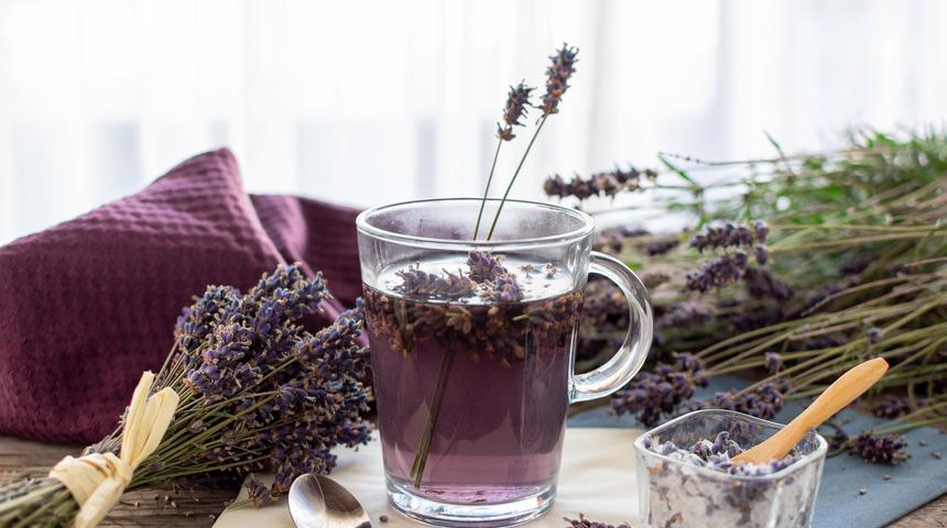 Karabaş otu çayı faydaları nelerdir? Karabaş otu çayı nasıl yapılır?