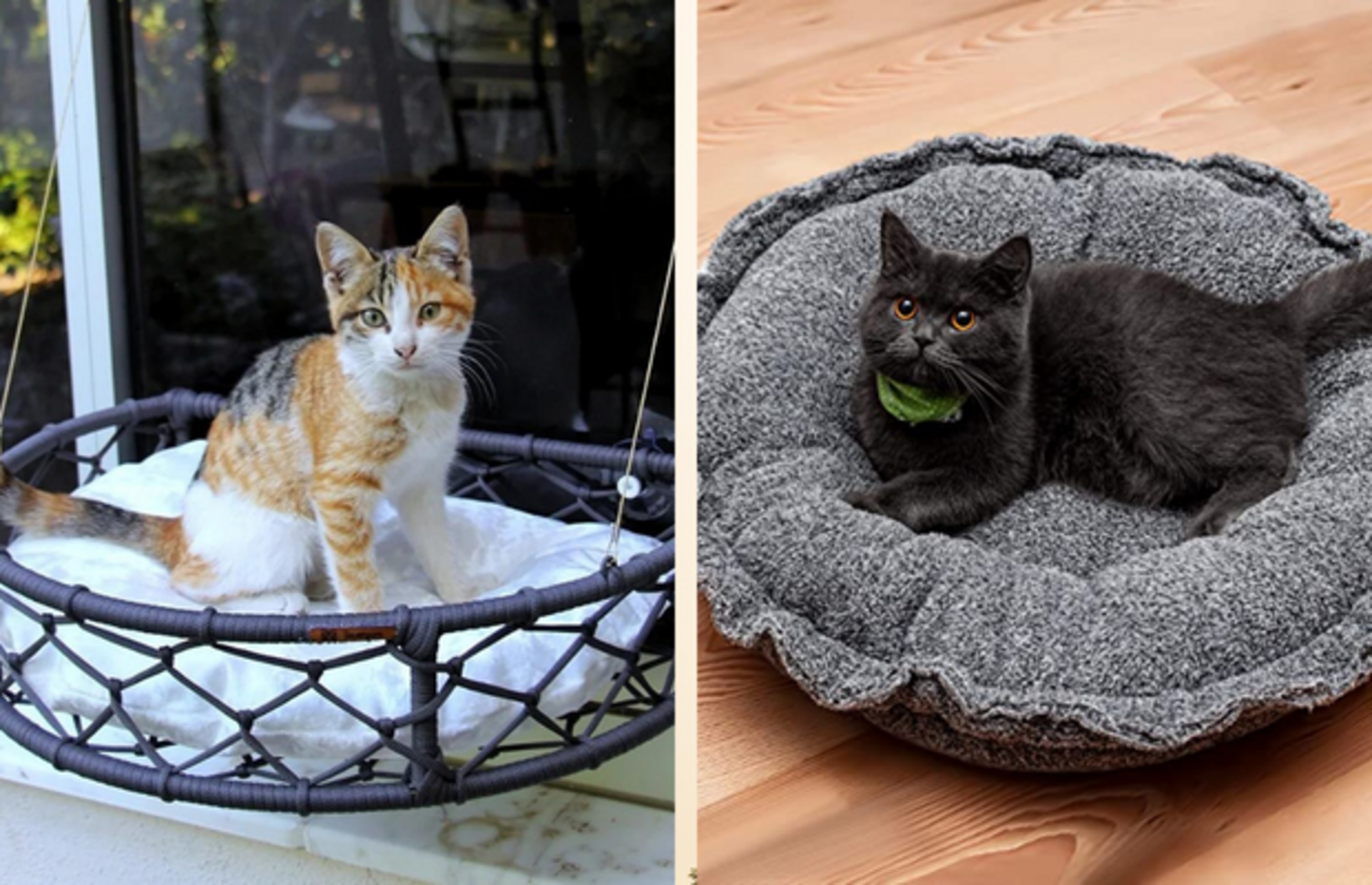 Tüylü dostlarınızın çok seveceği birbirinden rahat en iyi kedi yatağı modelleri ve markaları